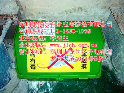 坪山專業(yè)除蟲滅鼠、白蟻防治